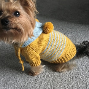 Knitting Pattern Hooded dog, cat sweater, Top-Down, dog sweater, pet clothes, dogs, cat, little dog, DIY project, knitted, yorkie, pets. image 3