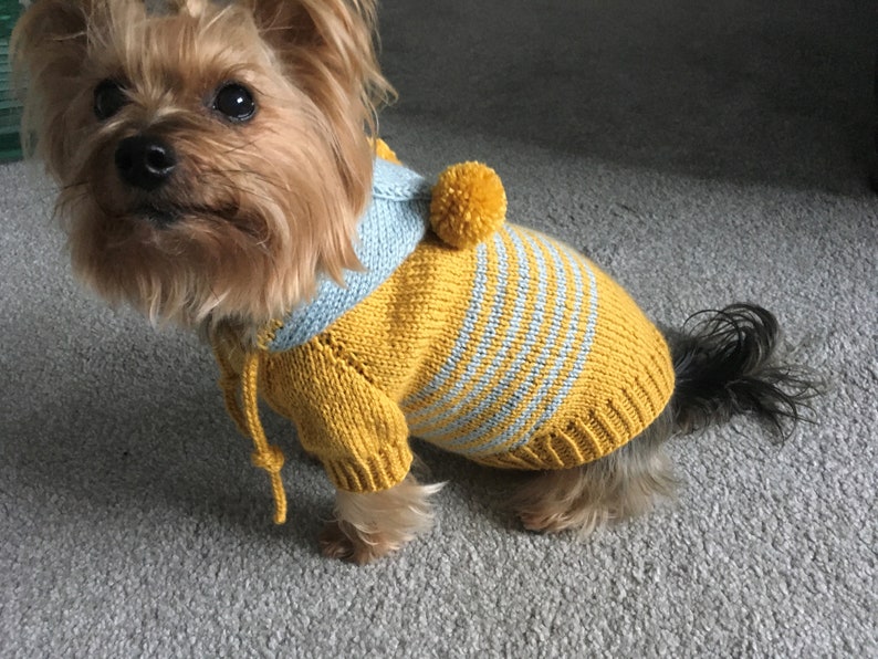 Knitting Pattern Hooded dog, cat sweater, Top-Down, dog sweater, pet clothes, dogs, cat, little dog, DIY project, knitted, yorkie, pets. image 3