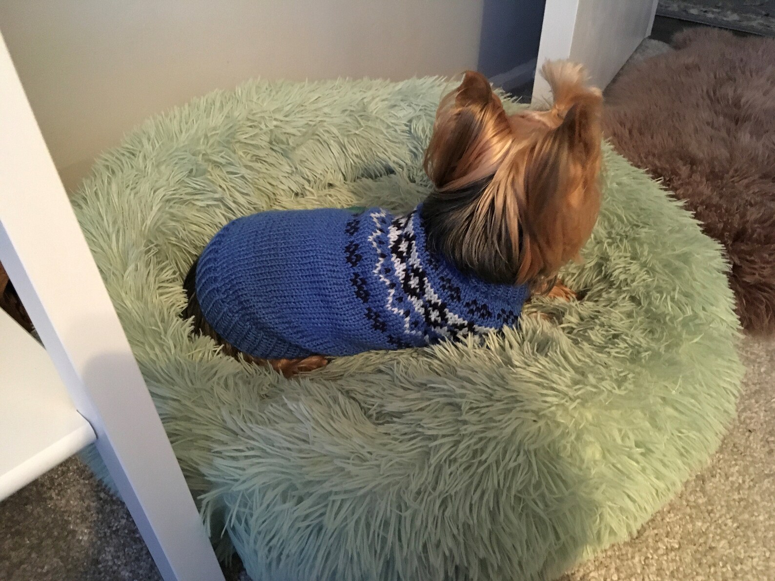 Blue Yoke Dog Sweater PDF Knitting Pattern Etsy