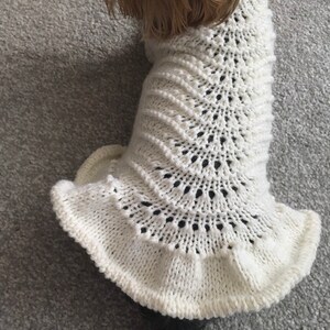 May include: A white knitted dog sweater with a lacy design. The sweater has a ruffled hem and is being worn by a small dog.