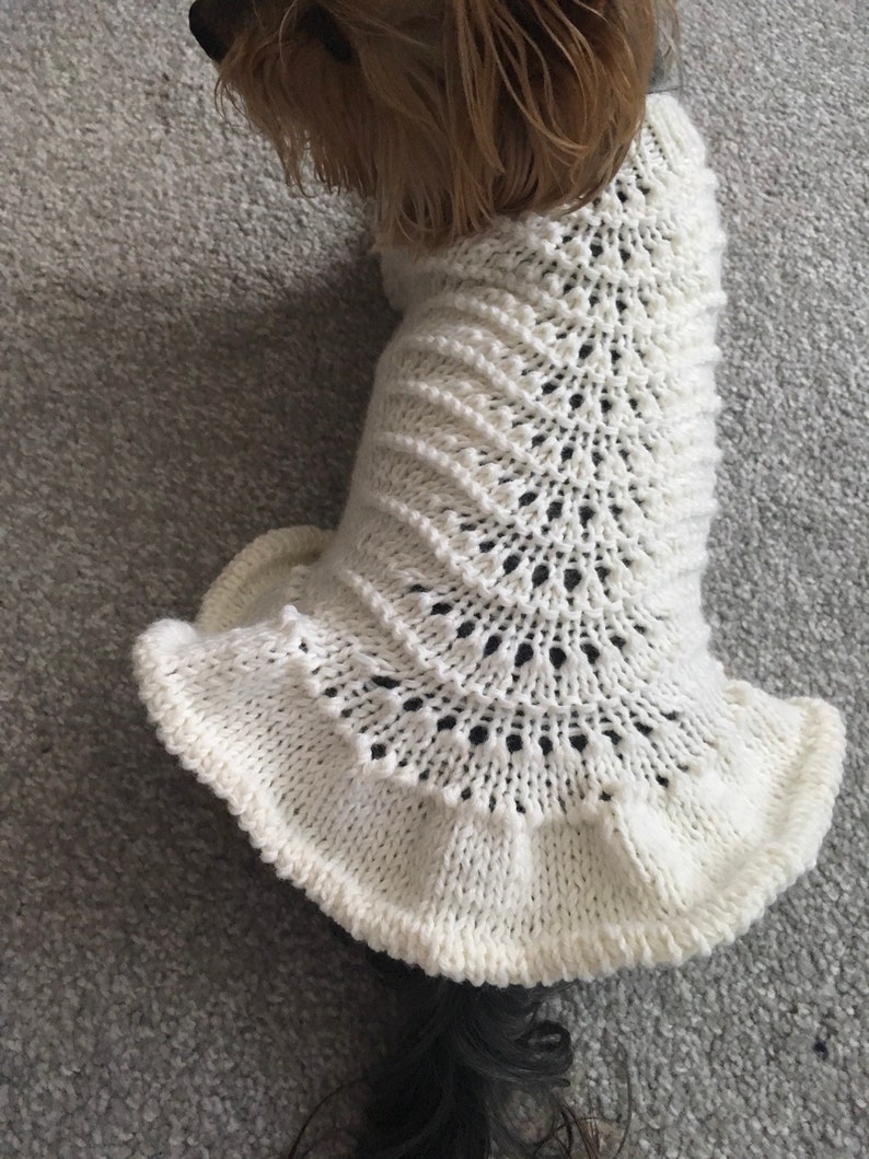 May include: A white knitted dog sweater with a lacy design. The sweater has a ruffled hem and is being worn by a small dog.