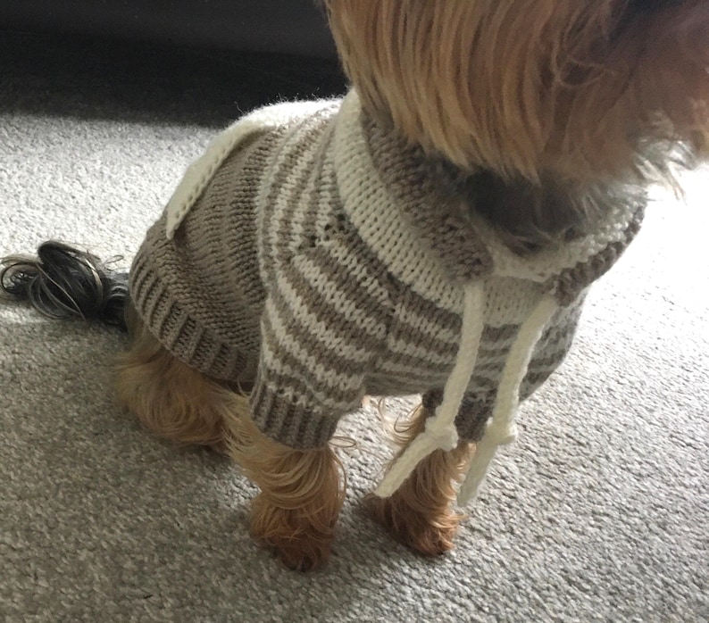 Oatmeal Dog Sweater Knitting Pattern, Top Down Dog Jumper PDF, Small Medium Large Sizes, Knit Dog Clothes, Pet Sweater Pattern image 2