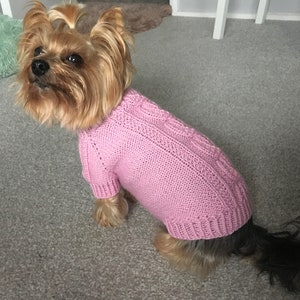 May include: A small Yorkshire Terrier dog wearing a pink knitted sweater with a cable knit pattern.