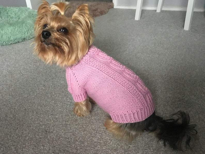 May include: A small Yorkshire Terrier dog wearing a pink knitted sweater with a cable knit pattern.
