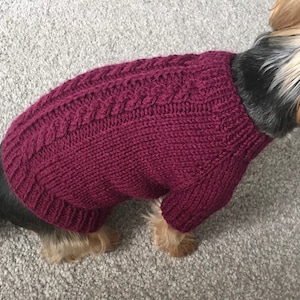 May include: A small dog wearing a burgundy knitted sweater with a cable knit pattern.