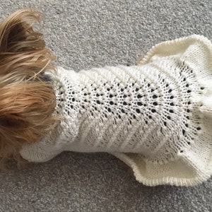 May include: A white knitted dog sweater with a lacy pattern. The sweater has a ruffled hem and is worn by a small dog with brown and black fur.