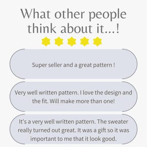 Plum Cable Dog Sweater Knitting Pattern, Easy Top Down Knit for Small Medium Large Pets, Dog or Cat Jumper PDF image 9