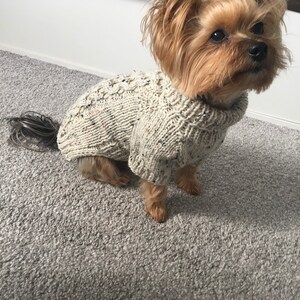 May include: A small, brown and white dog wearing a beige knitted sweater. The dog is sitting on a gray carpet.