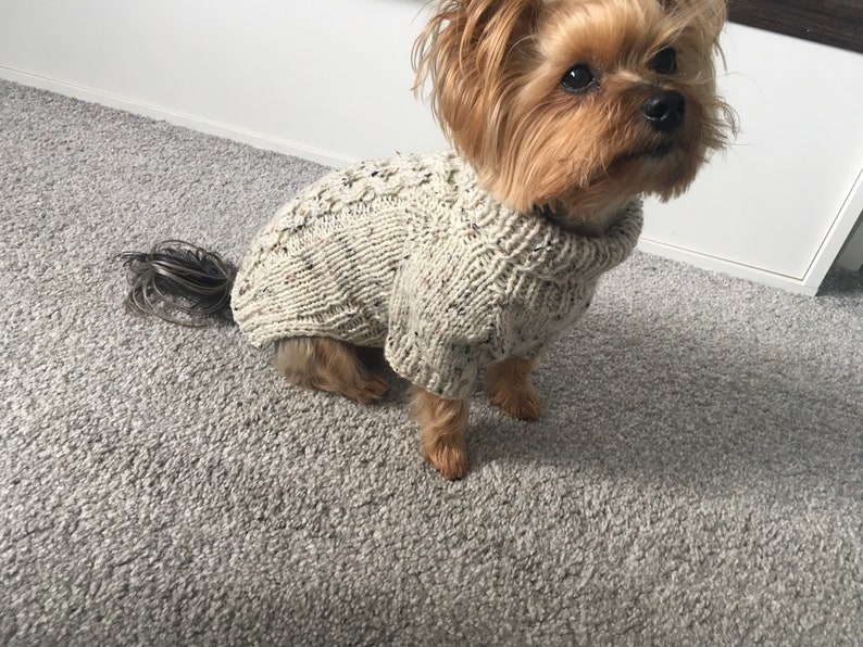 May include: A small, brown and white dog wearing a beige knitted sweater. The dog is sitting on a gray carpet.