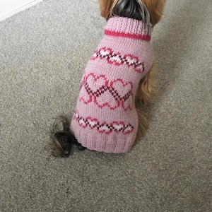 Padrão de tricô para suéter de cachorro encalhado, PDF para cães pequenos e Yorkshires, suéter para animais de estimação estilo Fair Isle, padrão avançado de tricô para cães