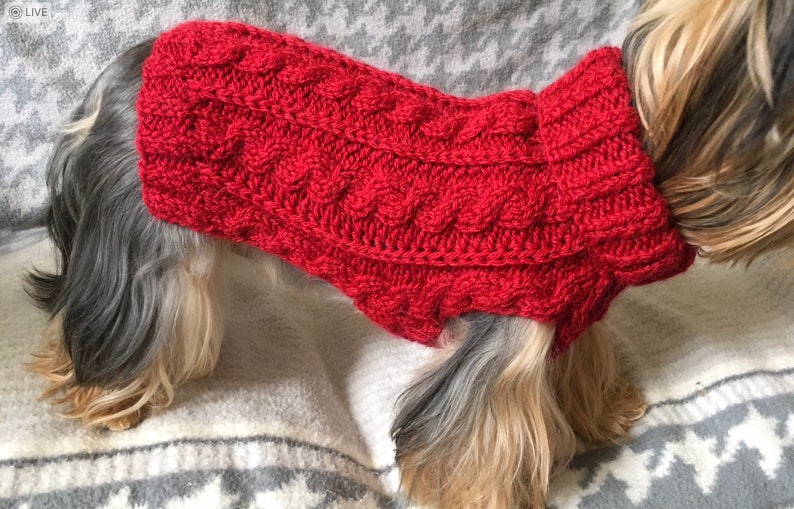 Knitting Close-up of a deep red, hand-knitted dog sweater featuring an intricate cable and ribbed stitch pattern. The sweater fits snugly on a small dog, with a thick ribbed turtleneck collar and tailored leg openings, highlighting the detailed texture and craftsmanship of the knitwork.