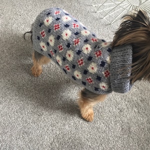 May include: A small dog wearing a gray knitted sweater with a white, red, and blue patterned design.