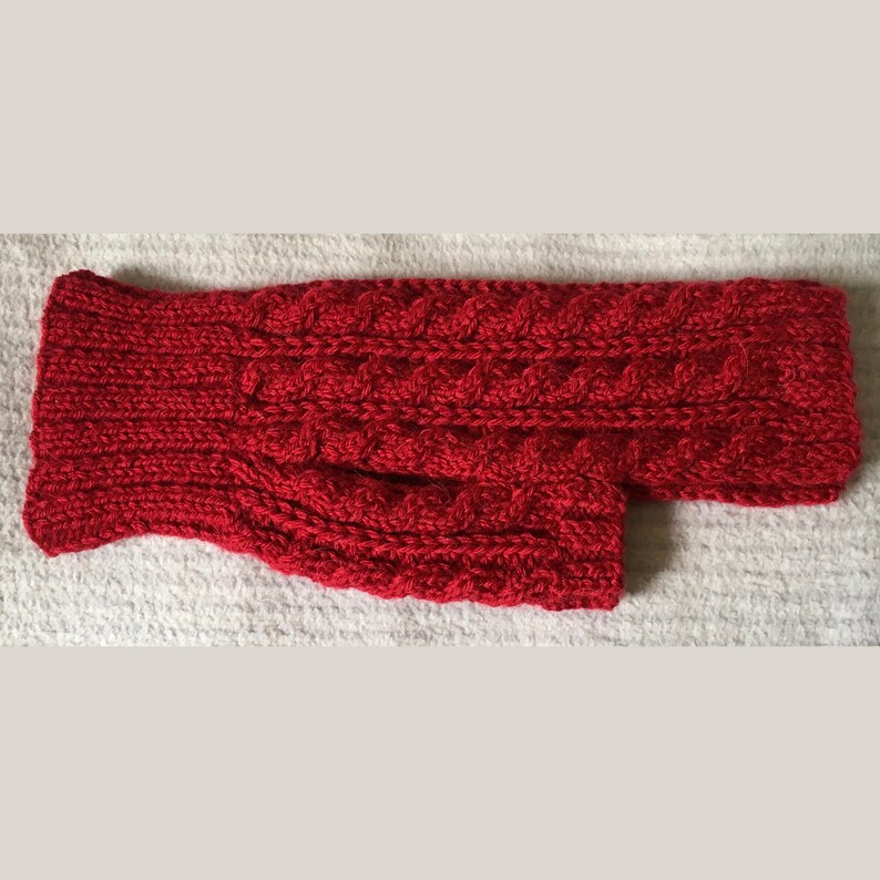 May include: Red knitted dog sweater with a cable knit pattern.
