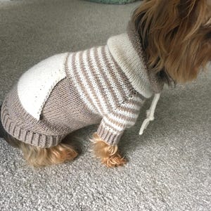 Oatmeal Dog Sweater Knitting Pattern, Top Down Dog Jumper PDF, Small Medium Large Sizes, Knit Dog Clothes, Pet Sweater Pattern