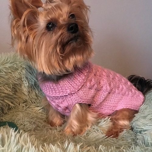 Christmas Dog Sweater Knitting Pattern PDF for Small Dogs Etsy