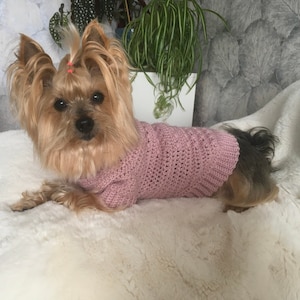 Crochet Pattern - Keep Me Pretty:), Top-Down, crochet dog sweater pattern, little dog crocheting, crochet, yorkie, easy dog crochet, Yorkie.