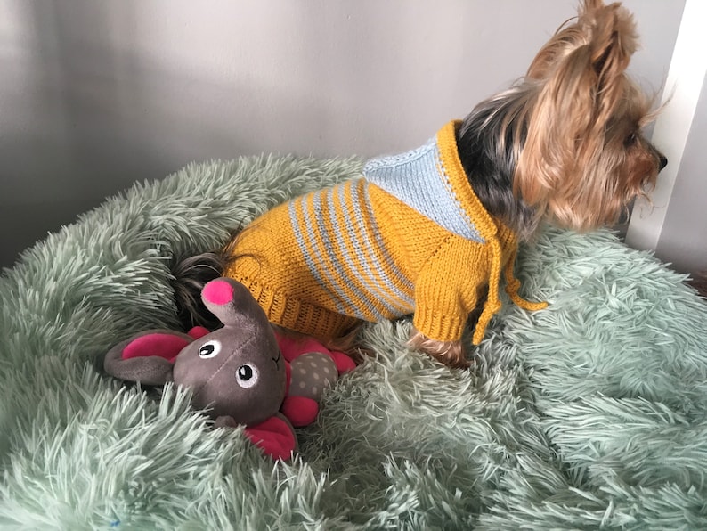 Knitting Pattern Hooded Dog Sweater Etsy Canada