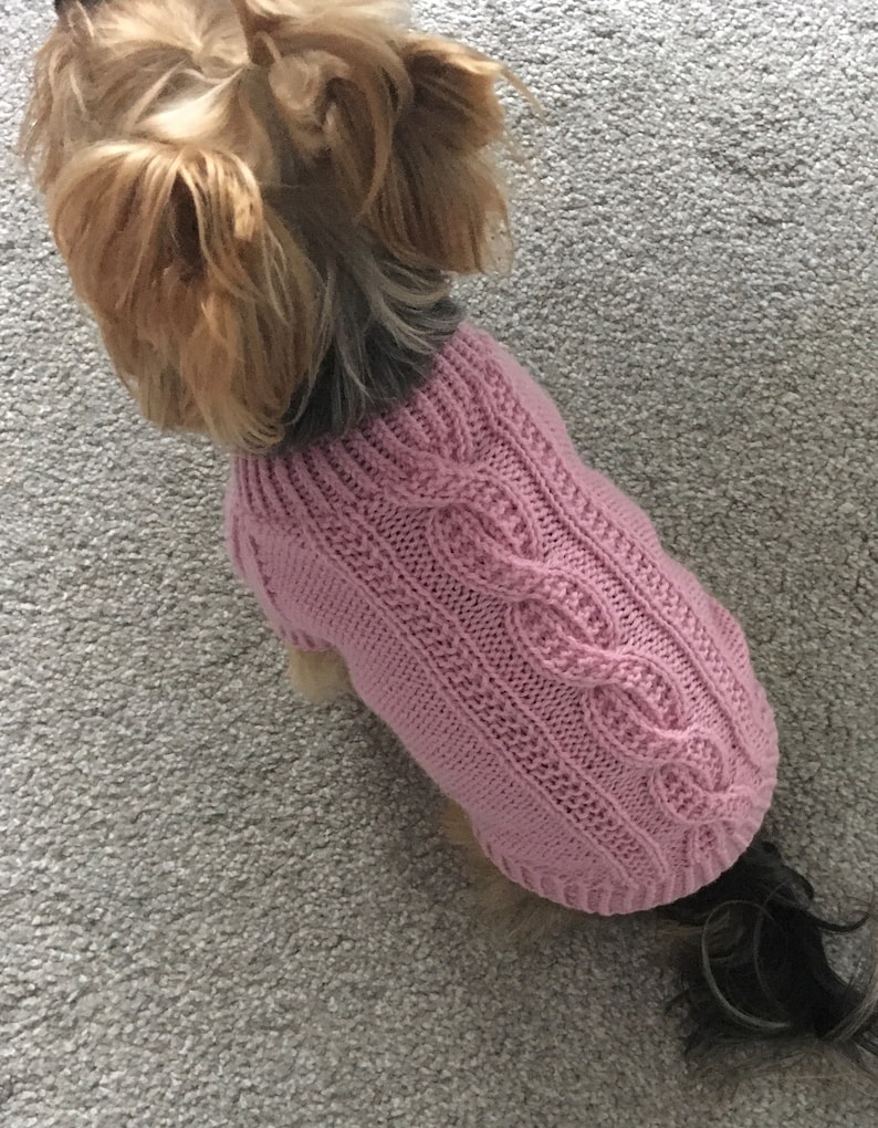Knitting Pattern Pink dog, cat sweater, Top-Down, dog sweater, pet clothes, cable, little dog, DIY project, knitted, yorkie, pets, little image 1