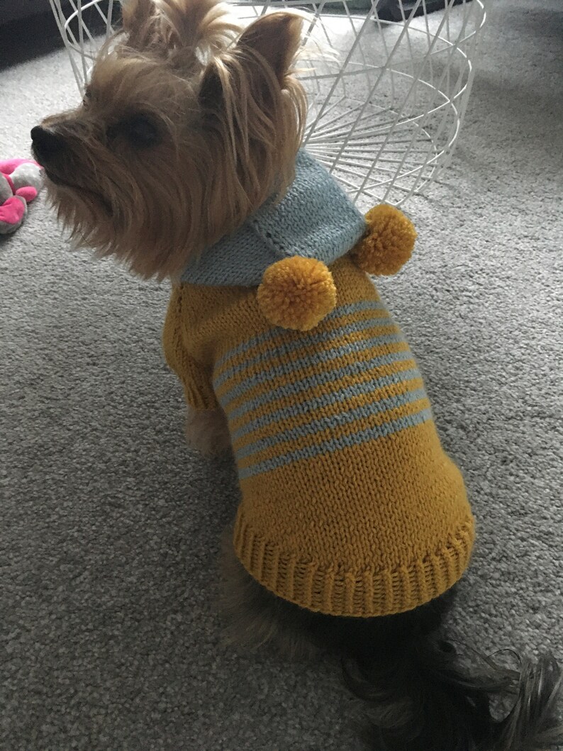 Knitting Pattern Hooded Dog Sweater Etsy