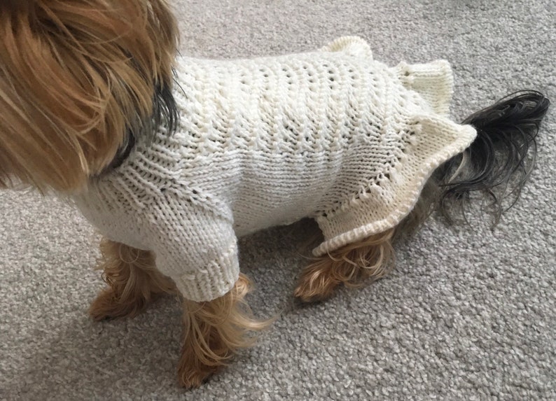 May include: A white knitted dog sweater with a delicate openwork pattern. The sweater is designed for small dogs and has a loose fit.