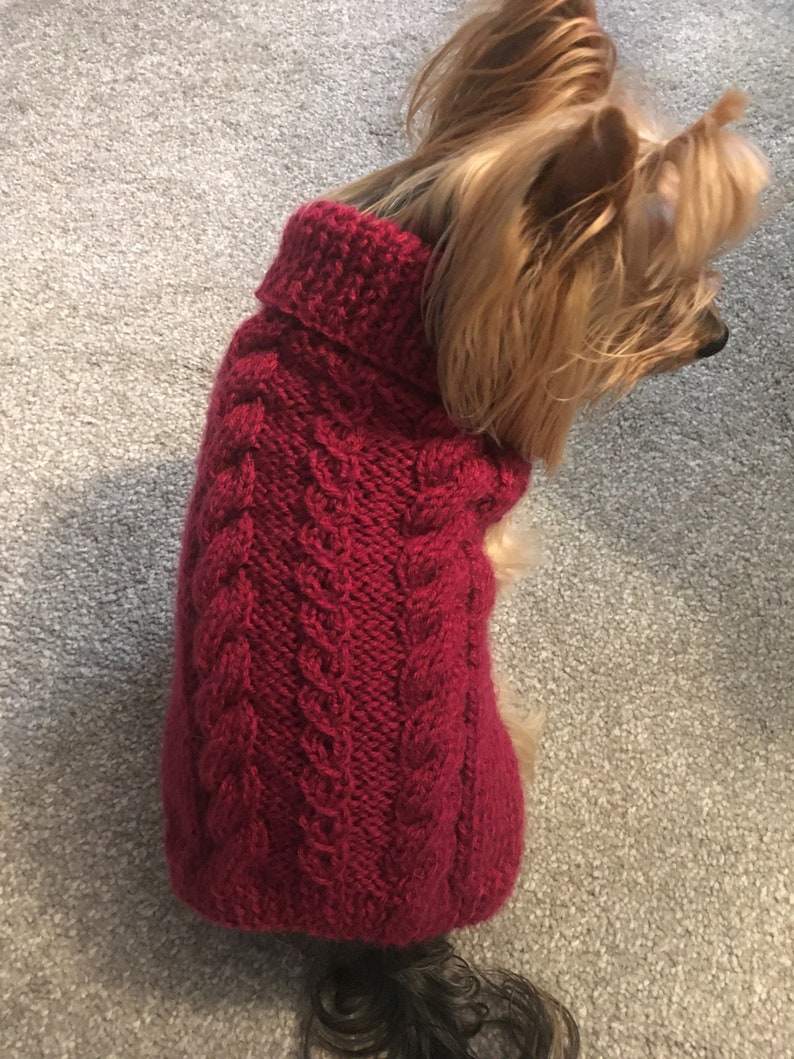 Knitting Pattern Cabled Fall dog, cat sweater, bottom-up, pet clothes, dog sweater, little dog, DIY project, knit, knitted, yorkie, pets. image 3