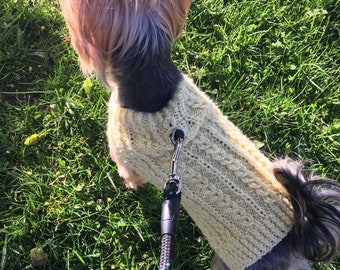 Knitting Pattern - Yellow Cabled dog, cat sweater, bottom-up, dog sweater, pet clothes, dog, little dog, DIY project, knitted, yorkie, pets