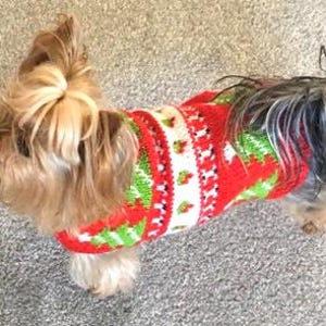 Festive Paws Christmas Dog Sweater Knitting Pattern, Bottom Up Stranded Knit for Small Dogs, Holiday Pet Jumper PDF