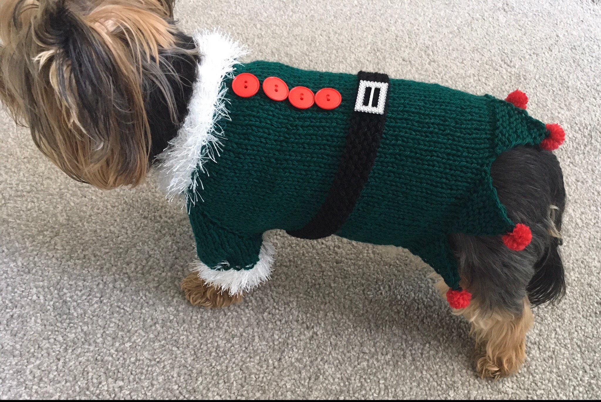 Knitting Pattern Christmas Elf Dog Sweater PDF Etsy