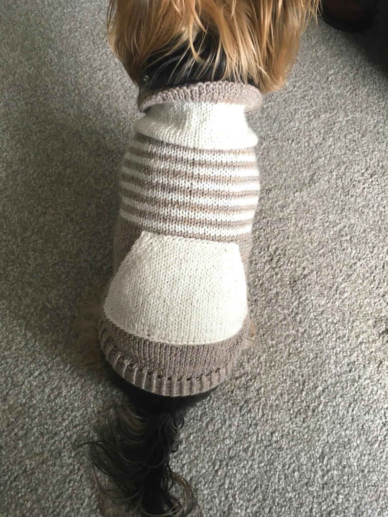Oatmeal Dog Sweater Knitting Pattern, Top Down Dog Jumper PDF, Small Medium Large Sizes, Knit Dog Clothes, Pet Sweater Pattern image 3