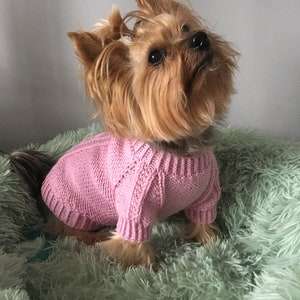 May include: A small Yorkshire Terrier dog wearing a pink knitted sweater, sitting on a light green fluffy bed.