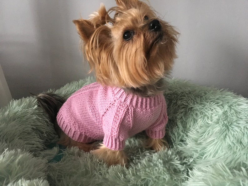 May include: A small Yorkshire Terrier dog wearing a pink knitted sweater, sitting on a light green fluffy bed.