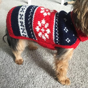 Könnte beinhalten: Ein kleiner Hund trägt einen rot-weiß-blauen Strickpullover mit Schneeflockenmuster. Der Pullover hat einen Rollkragen.