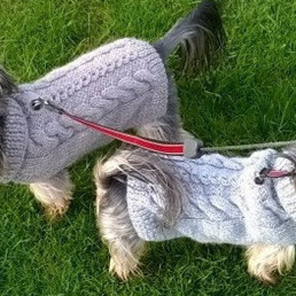 Knitting Pattern -Cabled Fall dog, cat sweater, bottom-up, pet clothes, dog sweater, little dog, DIY project, knit, knitted, yorkie, pets.