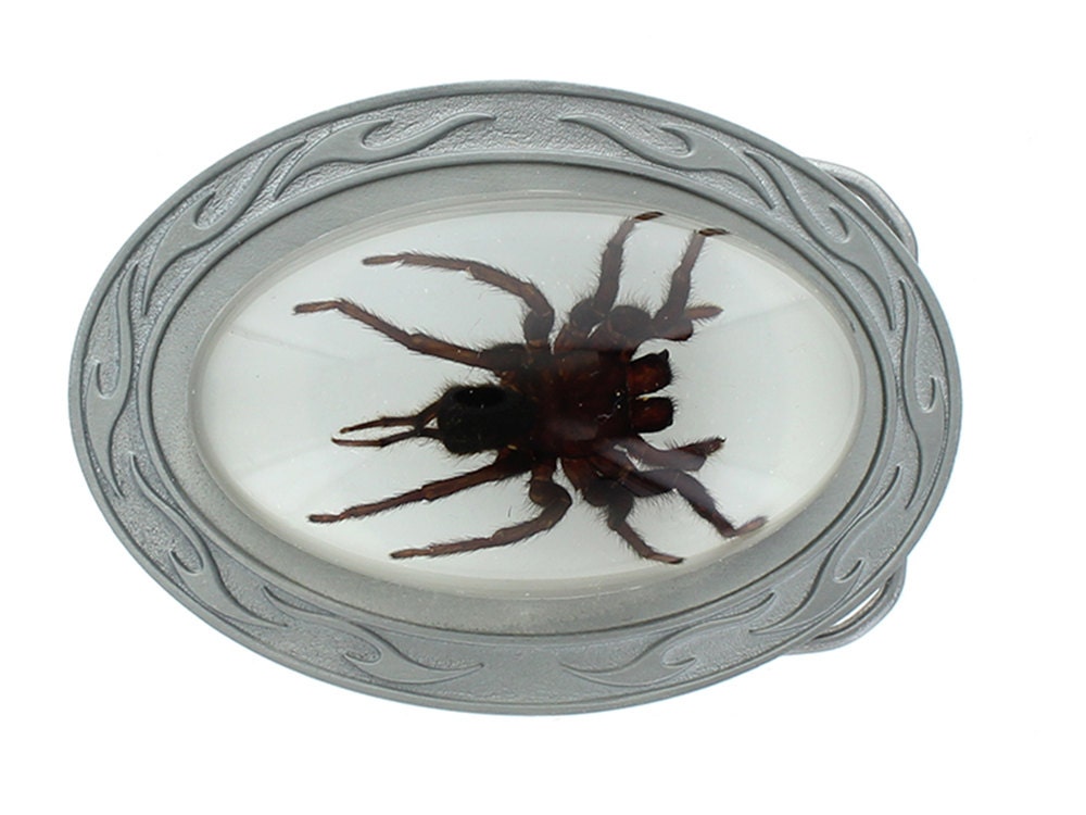 Tarantula Spider Buckle Oval | Etsy
