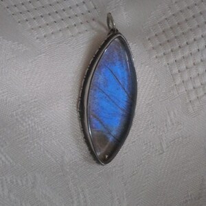 Blue butterfly wing sterling silver and rock crystal pendant 2 inches