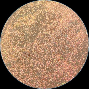 Melocotón de pastel. Colección de múltiples cambios Twisted Pastel