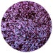 FORBIDDEN SECRETS. A Vivid Maroon Based Boysenberry shade with periwinkle and aqua flashes pressed pigment. 26mm pan size 