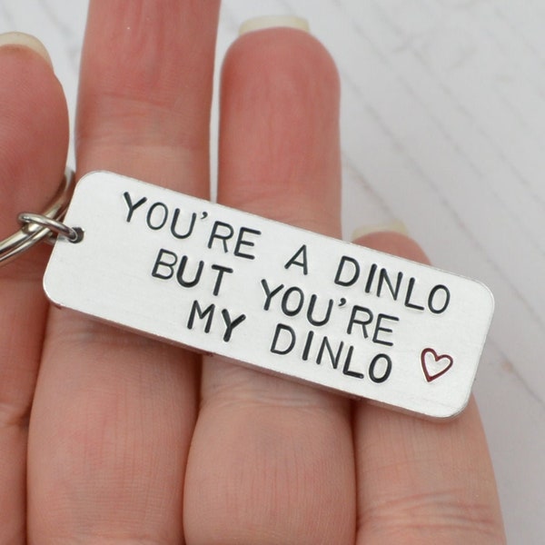 You're a Dinlo Pompey Slang Keyring