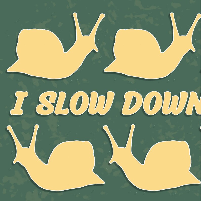snail art snail lover car sticker bumper sticker snails forestcore nature art