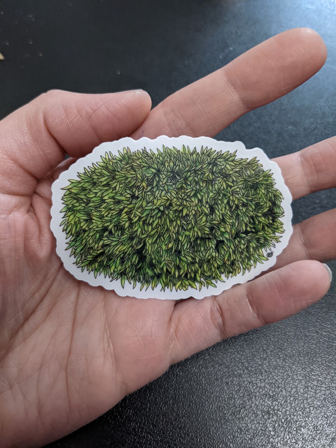 Moss Vinyl Sticker Notebook Laptop Decal Water Bottle Sticker ...