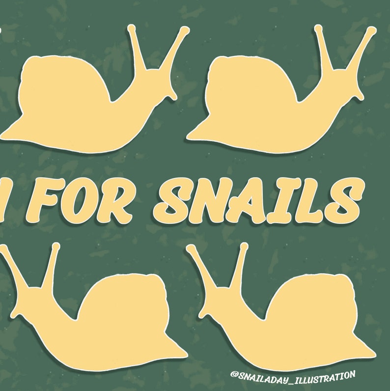 snail art snail lover car sticker bumper sticker snails forestcore nature art