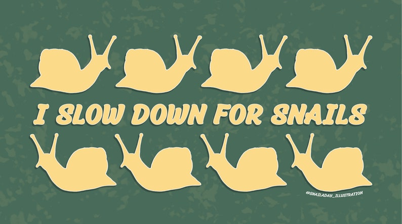 snail art snail lover car sticker bumper sticker snails forestcore nature art