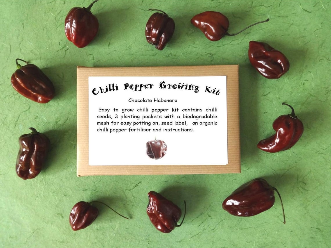 Chilli Pepper Growing Kits Etsy