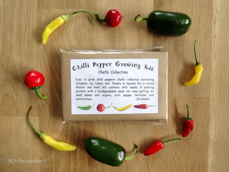 Chilli Pepper Growing Kits Etsy