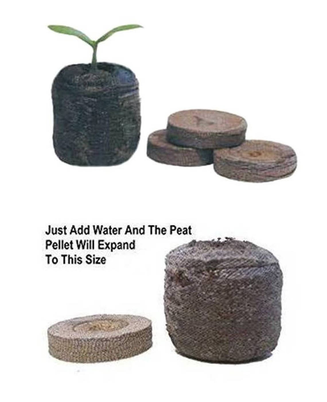 Chilli Pepper Growing Kits Etsy