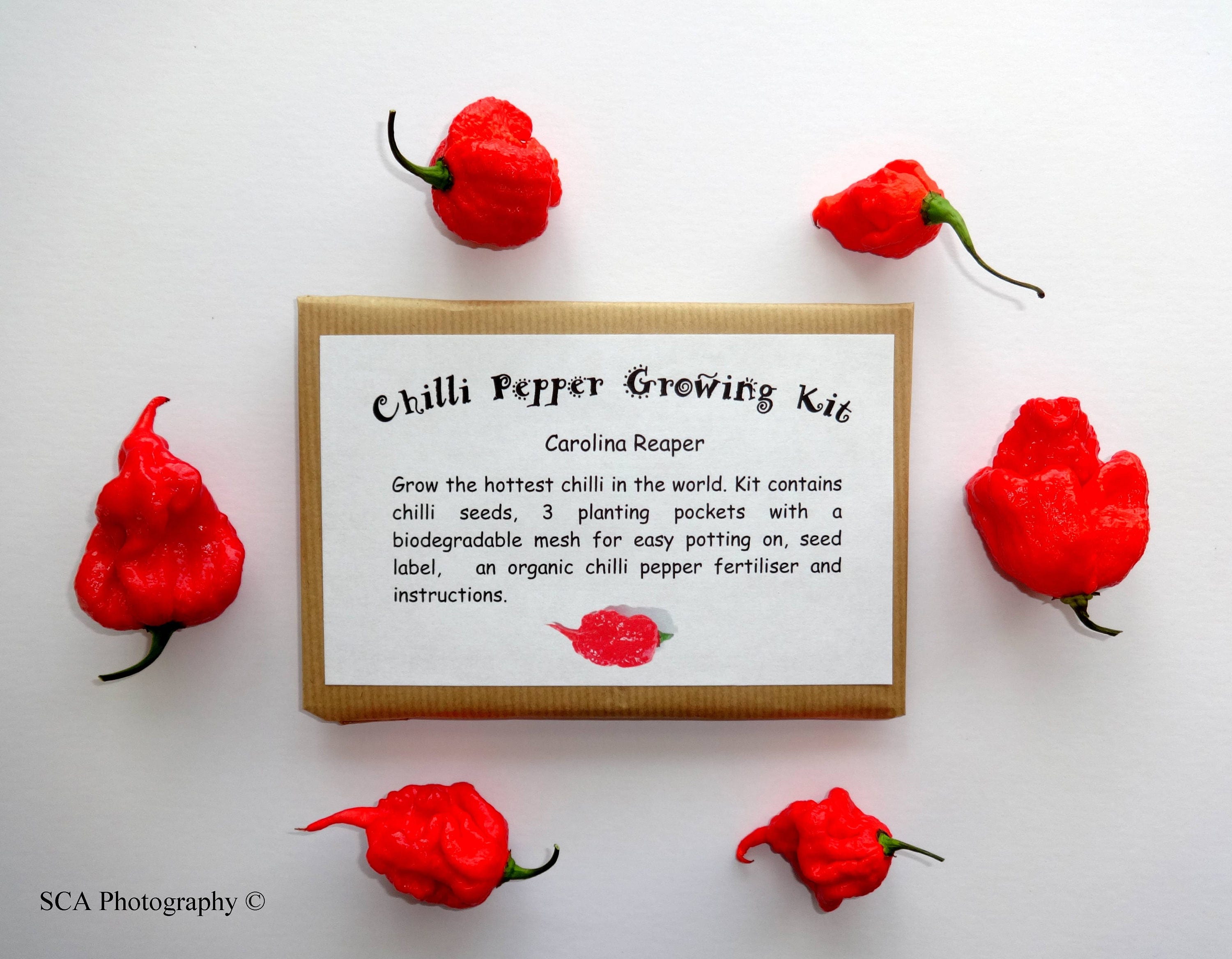 Chilli Pepper Growing Kits Etsy UK