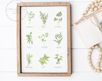 May include: A framed print with a white background and a grid of 12 watercolor illustrations of different herbs. Each herb is labeled with its name, including oregano, thyme, parsley, basil, cilantro, sage, rosemary, mint, and marjoram.