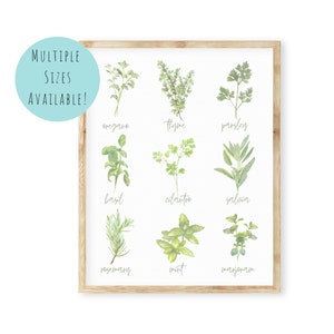 Watercolor Botanical Herbs Kitchen Spices Art Print |  Herb Set Printable Sign | Vintage Farmhouse Plant Herb Spice Wall Print Decor