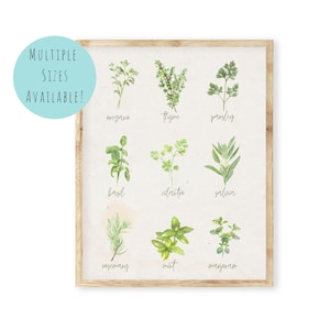 Vintage Botanical Herbs Kitchen Spices Art Print |  Watercolor Herb Set Printable Sign | Vintage Farmhouse Plant Herb Spice Wall Print Decor