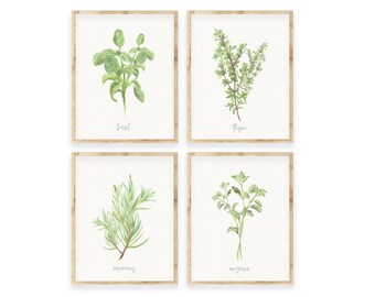 Può includere: Set di quattro stampe ad acquerello con illustrazioni di erbe: basilico, timo, rosmarino e origano. Ogni stampa è incorniciata in una cornice di legno chiaro e ha il nome dell'erba scritto sotto l'illustrazione.